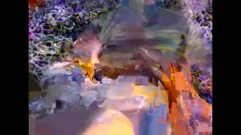 MED online show from March 8, 9:29 pm