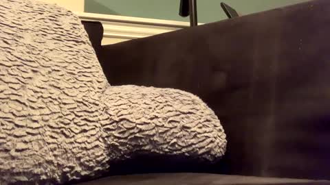 25923 online show from January 14, 11:58 pm