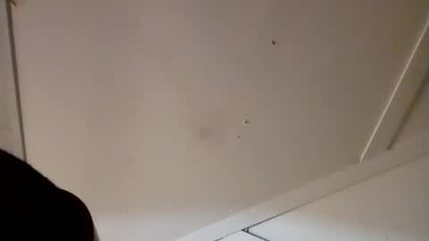 4j_n online show from April 13, 2:39 am