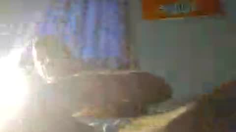Zeus online show from August 4, 12:47 am