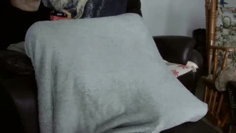 66bear online show from November 2, 12:29 pm