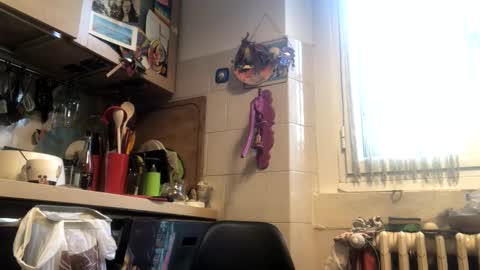 6990fiko online show from December 21, 10:44 am