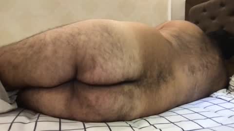 Snapshot of _alan_bear_ chatting on May 13, 4:15 pm Alan online show from May 13, 4:15 pm
