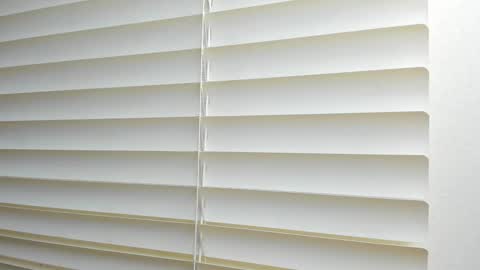 Snapshot of _molly_rosse_ chatting on December 19, 12:12 pm _molly_rosse_ online show from December 19, 12:12 pm