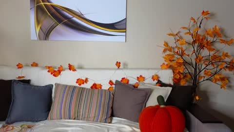 Alice online show from February 6, 10:37 am