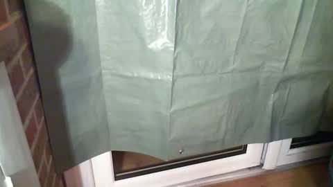 Snapshot of aaronb100 chatting on December 22, 7:44 pm Aaron online show from December 22, 7:44 pm