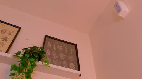 Snapshot of abbywathson chatting on February 23, 12:02 pm A B B Y online show from February 23, 12:02 pm