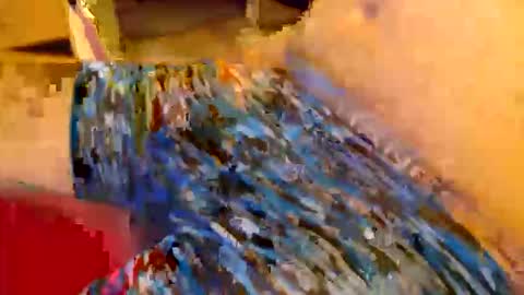 abigspermdonor online show from January 13, 1:11 am