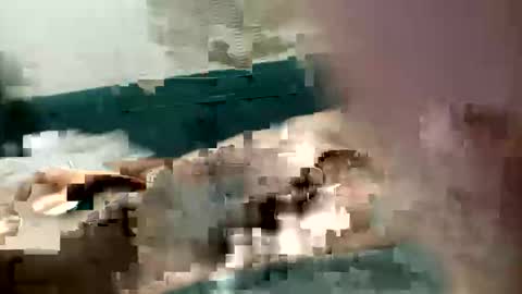 adrodiarellano online show from October 13, 2:22 am