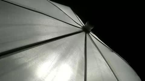 CAROLINA online show from April 12, 4:34 pm