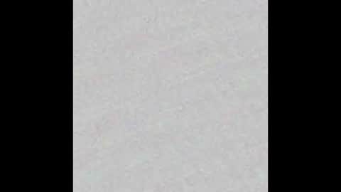 Alaia online show from November 10, 11:20 am