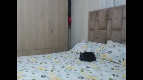 Snapshot of aleejhandra chatting on January 28, 11:17 pm alejandra online show from January 28, 11:17 pm