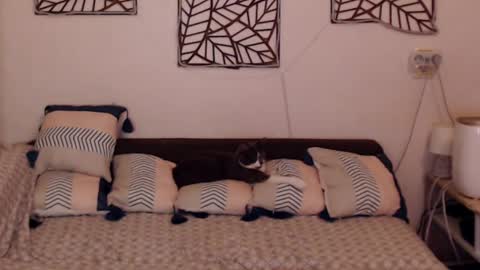 Snapshot of alessandra_foxy chatting on February 25, 8:09 pm Sandra online show from February 25, 8:09 pm