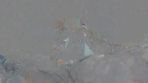 Alexsmith9876 online show from April 2, 2:15 pm