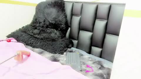 alicee online show from May 12, 9:45 pm