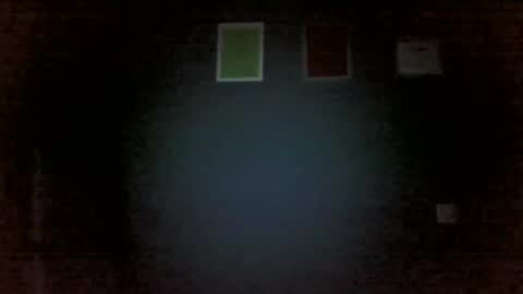 Snapshot of aliprcalica1 chatting on February 11, 4:56 pm Chris online show from February 11, 4:56 pm