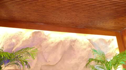 Snapshot of alisoon_moon chatting on May 13, 11:22 pm Alison Moon online show from May 13, 11:22 pm