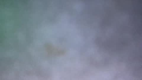 all_most_sane online show from May 17, 3:30 pm