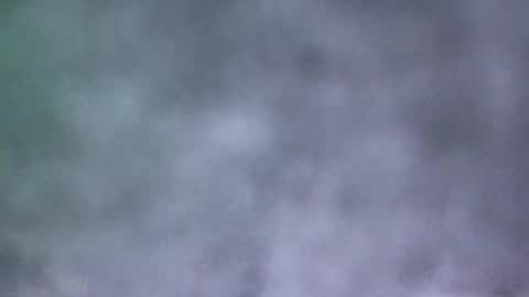 all_most_sane online show from May 19, 4:02 pm