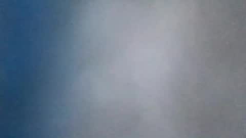 all_most_sane online show from August 8, 3:03 pm