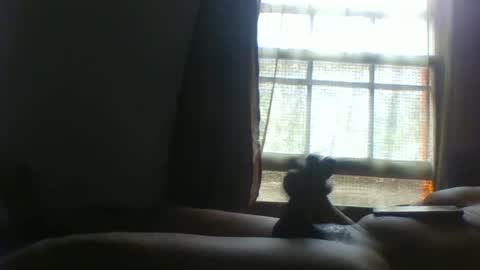 allbermy online show from November 11, 6:08 pm