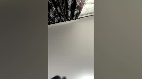 Anda online show from December 14, 11:04 am