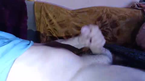 amazingcuteboy845 online show from April 15, 8:20 pm