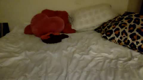 Amberloves2write aka AmberMyBelle online show from February 8, 2:58 am