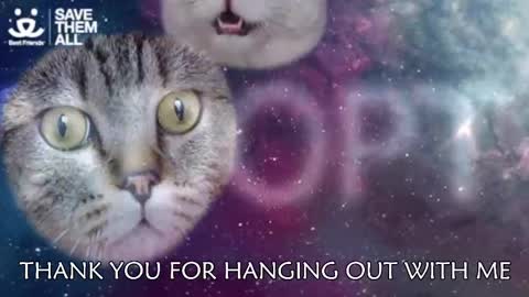 Amber online show from March 5, 3:08 am