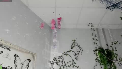 Ameli online show from February 18, 2:29 am