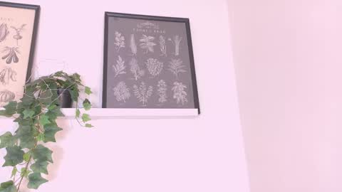  AMMY  online show from February 20, 11:54 am