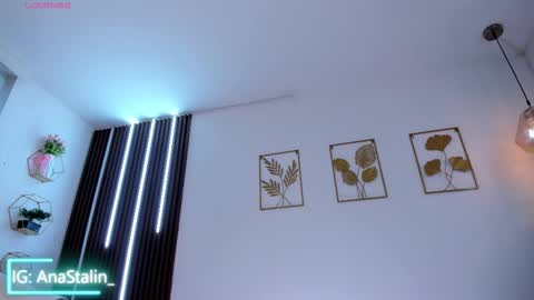 Snapshot of anastalin chatting on February 22, 6:06 pm Ana Stalin online show from February 22, 6:06 pm