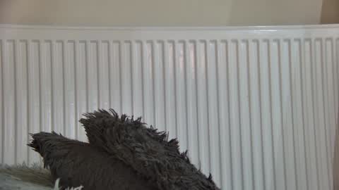 of  just4ana online show from January 5, 5:27 pm