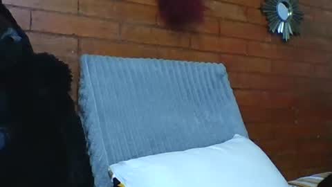  Angela  online show from December 19, 7:10 pm