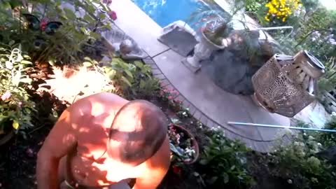 anoaklawnguy online show from September 14, 3:22 pm