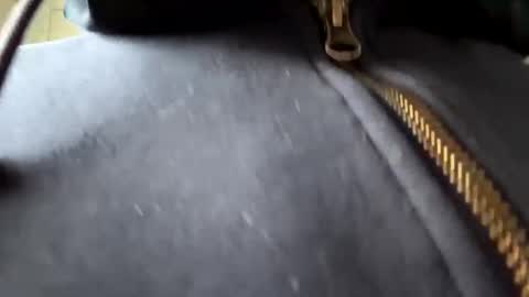 Snapshot of anonomousloser chatting on January 6, 2:36 pm anonomousloser online show from January 6, 2:36 pm