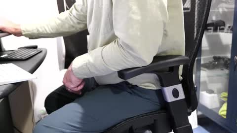 D online show from February 2, 1:54 pm