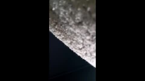 anonymous195100 online show from May 18, 3:02 am
