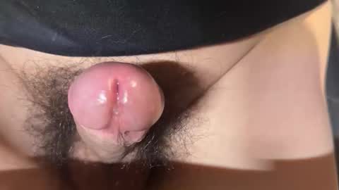 Snapshot of apple2761 chatting on April 1, 1:41 pm apple2761 online show from April 1, 1:41 pm