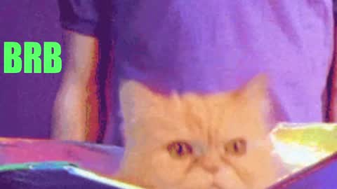 aprill_o_nill online show from April 17, 3:26 pm