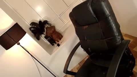 ARABELLA online show from April 1, 2:12 am