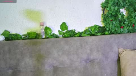 Snapshot of ari_kat666 chatting on December 11, 6:04 am ari online show from December 11, 6:04 am