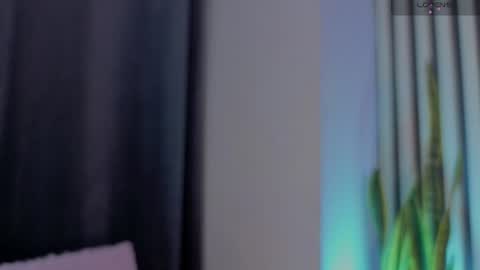 Ariana online show from July 16, 12:00 pm