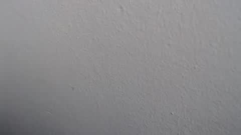 Snapshot of ariannaloovel chatting on May 27, 3:09 pm ariannaloovel online show from May 27, 3:09 pm