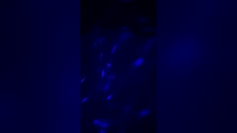 arielanne online show from July 30, 3:27 am