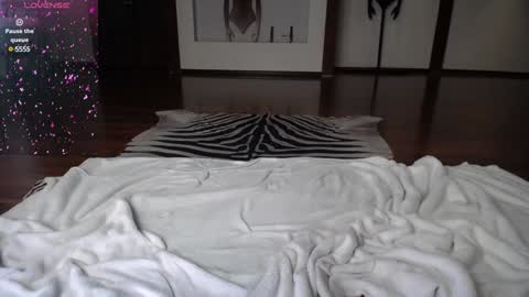 Snapshot of arinamir chatting on December 28, 6:28 am arinamir online show from December 28, 6:28 am