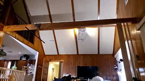 Ashelynn Grey online show from February 27, 2:21 am