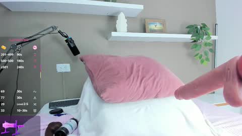 Ashley online show from November 2, 1:35 pm