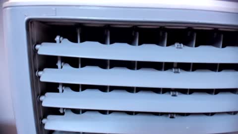 ashlybenison online show from January 25, 7:38 am