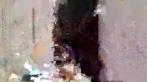 asian_cummer7 online show from April 2, 2:26 pm